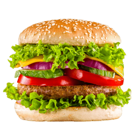 Mumbai Masala Veggie Burger