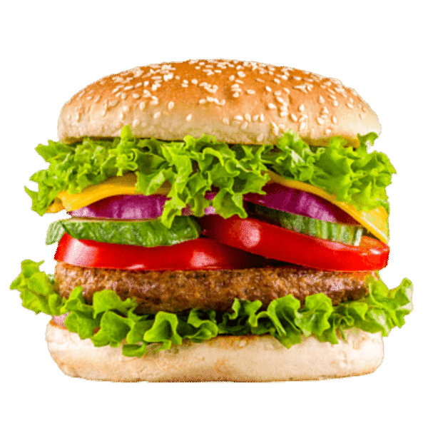 Mumbai Masala Veggie Burger
