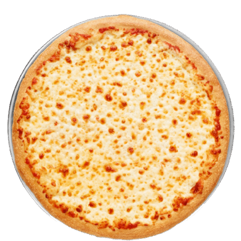 CHEESE PIZZA